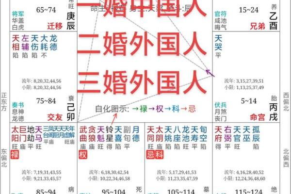 生辰紫微斗数 紫微斗数生辰八字？