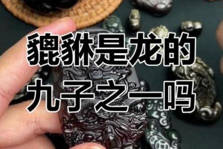 风水上龙生九子是哪九子貔貅饕餮麒麟是吗