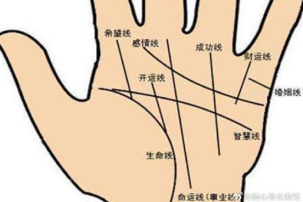 男士手相算命 男士手相算命