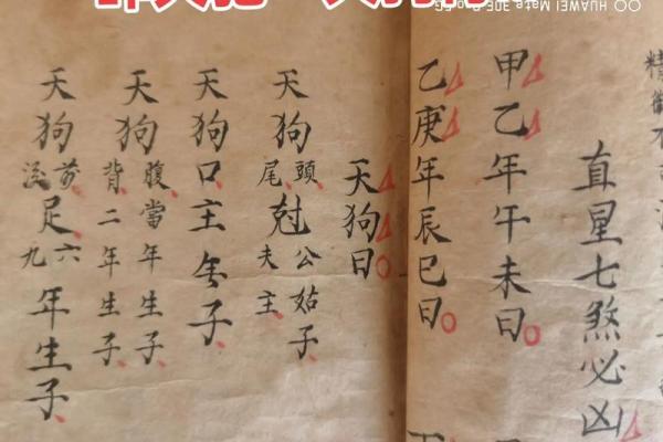 算命说今年有天喜星 算命说今年有天喜星