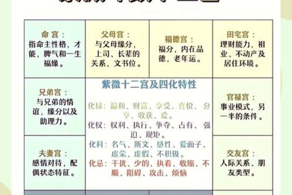 紫薇斗数专业名词