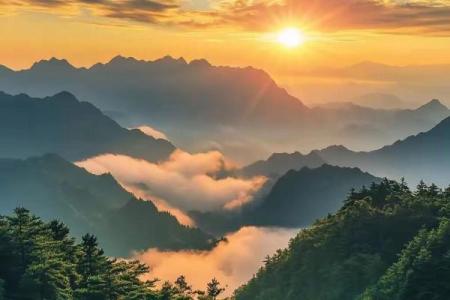 风水微信_微信头像用明星的照片可以么