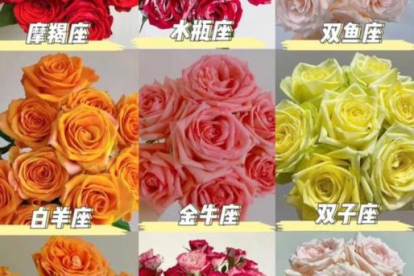 十二星座的专属花都有哪些呢 十二星座的专属花都有哪些呢