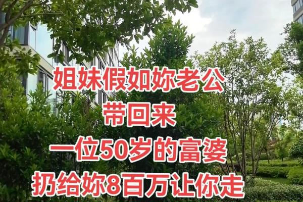 家的风水_我遇到一位五十多岁的大姐 家的风水_我遇到一位五十多岁的大姐