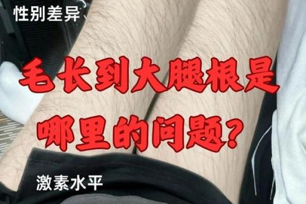 腿上有毛算命