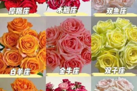 十二星座的专属花都有哪些呢