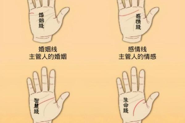 怎样看手纹给自己算命 富贵的手相 怎样看手纹给自己算命 富贵的手相