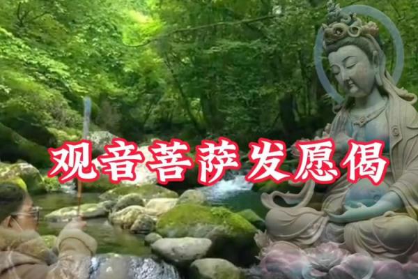 观音菩萨发愿偈 观音菩萨发愿偈是什么 观音菩萨发愿偈 观音菩萨发愿偈是什么