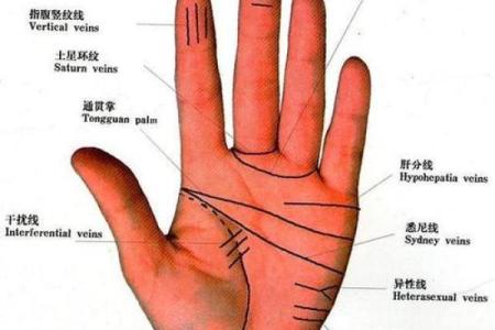 怎样看手纹给自己算命 富贵的手相