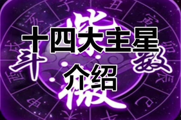 紫微斗数142 紫微斗数14主星顺序? 紫微斗数142 紫微斗数14主星顺序?