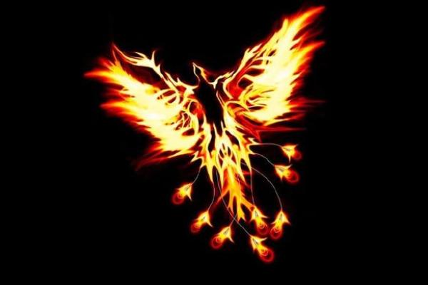 女命带凤凰的八字特点