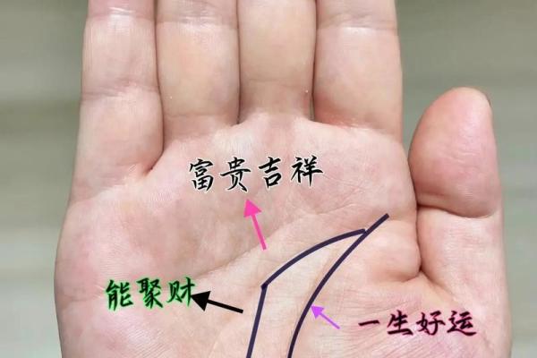 罕见的掌纹手相算命和图解