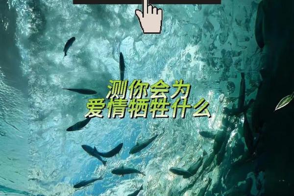 测试题爱情,情侣心理测试题