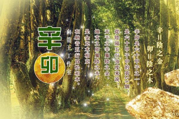 白龙王在线算命 白龙王算命网 白龙王在线算命 白龙王算命网