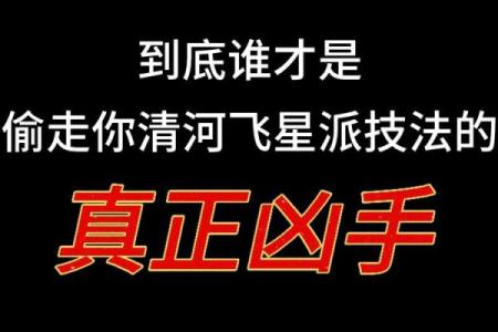 紫薇斗数视频