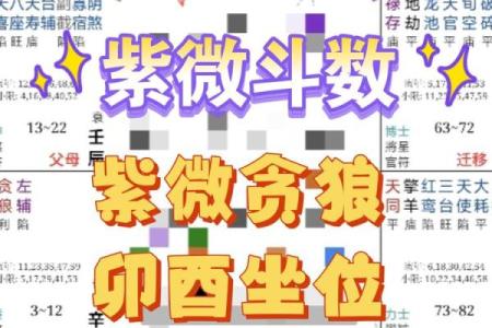紫薇斗数贪狼