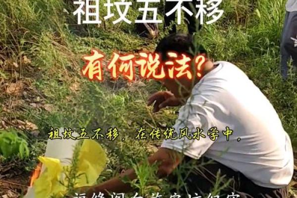 蚰蜒风水之说 蚰蜒风水之说