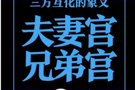 紫薇斗数免费合婚