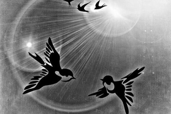 梦见算命说我身体不好 梦见算命说我身体不好