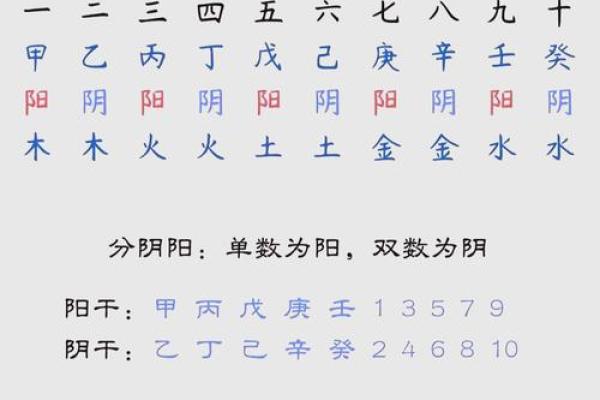 八字天干的根