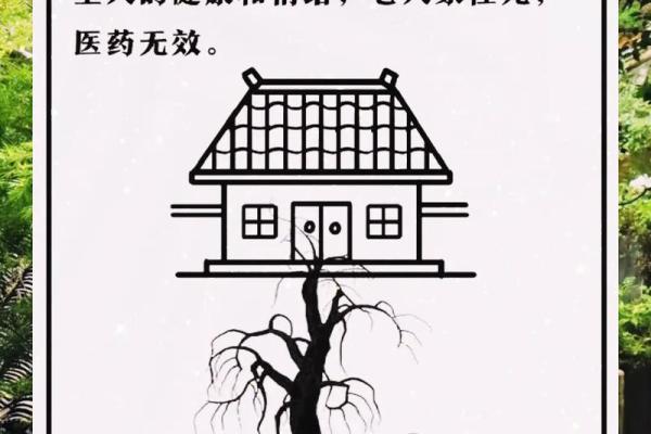 为什么房子周围不能有风水 为什么房子周围不能有风水