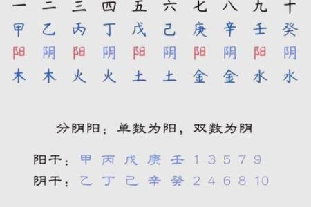 八字天干的根
