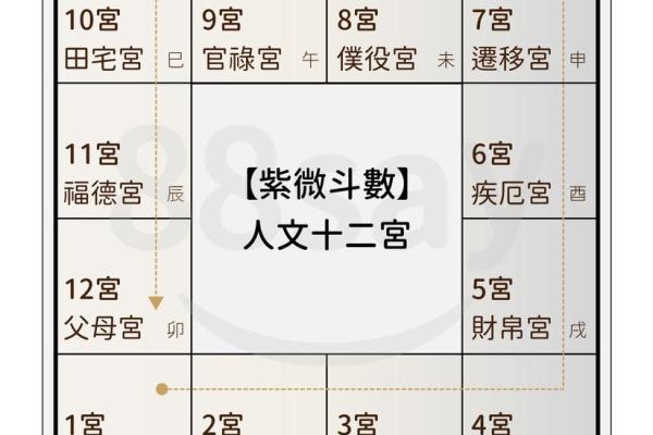 紫薇斗数定盘软件 紫薇斗数定盘软件