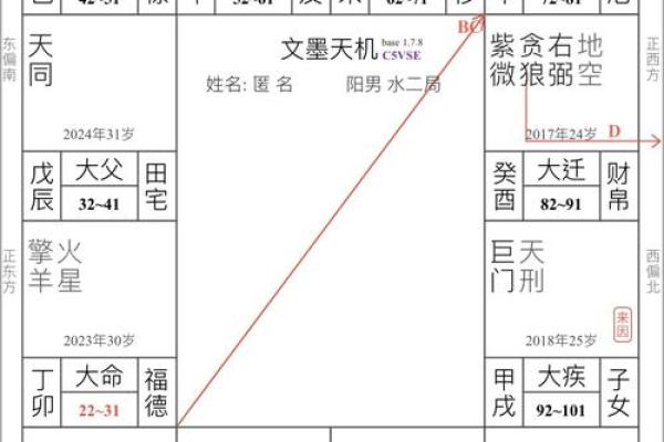 紫薇斗数定盘软件 紫薇斗数定盘软件