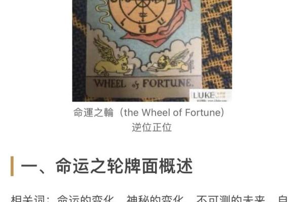 塔罗牌测试一月份的整体学习运情况如何 塔罗牌测试一月份的整体学习运情况如何