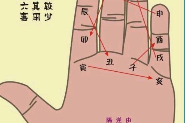 特别八字 特别八字
