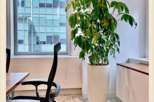 办公桌物品摆放风水 办公桌物品摆放风水