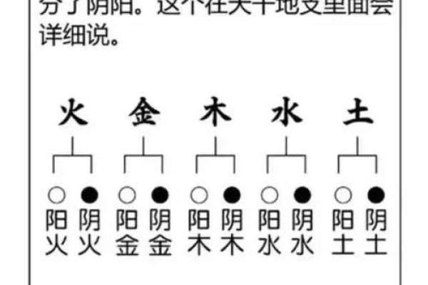 五行八字排盘 五行八字排盘