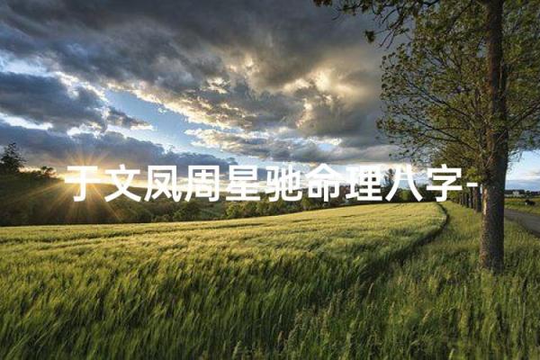 周星驰八字命理 周星驰八字命理