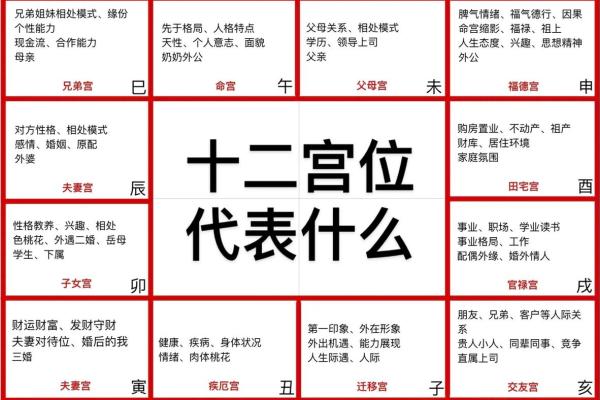 紫薇斗数测试网 紫薇斗数测试网