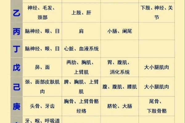 八字全阳是什么意思 八字全阳是什么意思