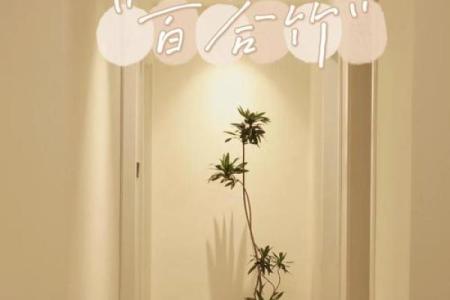 玄关摆放植物有什么风水讲究