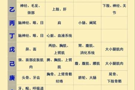 八字全阳是什么意思