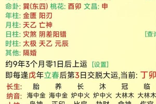 八字辛巳是浪子命格吗 八字辛巳是浪子命格吗