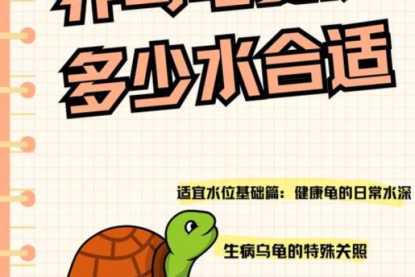 养龟风水_为什么卧室里面不能养乌龟 养龟风水_为什么卧室里面不能养乌龟