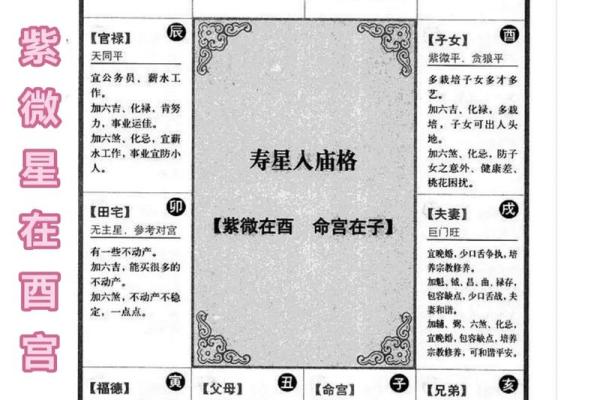 紫薇星几月出生的