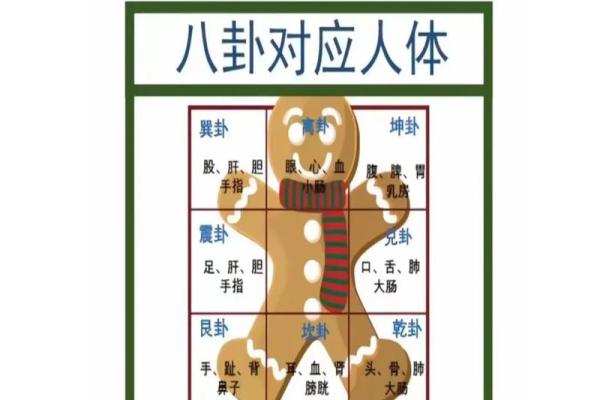 如何看小区楼房风水- 如何看小区楼房风水-