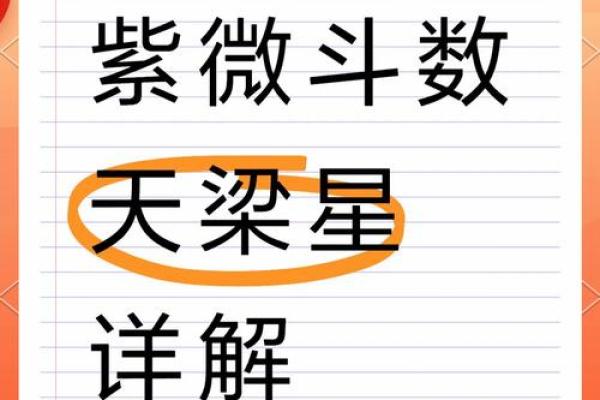 紫薇斗数空劫星 紫薇斗数空劫星