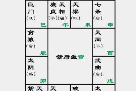 紫微斗数诸星落诸宫之：紫微星官禄宫详解