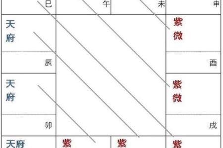 紫薇斗数真实案例知乎