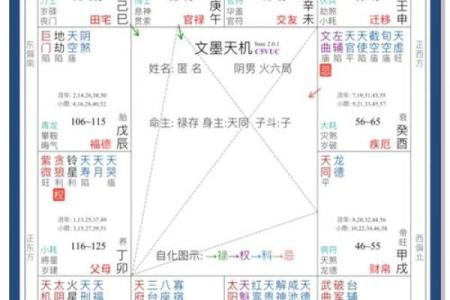 紫薇斗数入门看什么书
