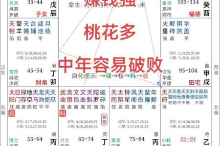 紫薇斗数天贵人