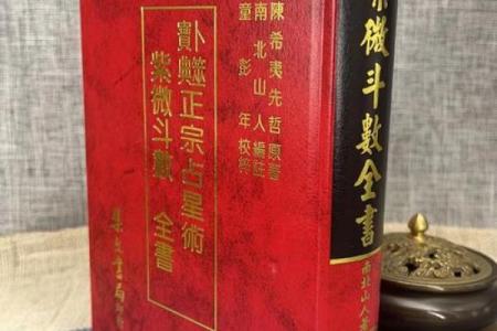 紫薇斗数全书是哪个派别