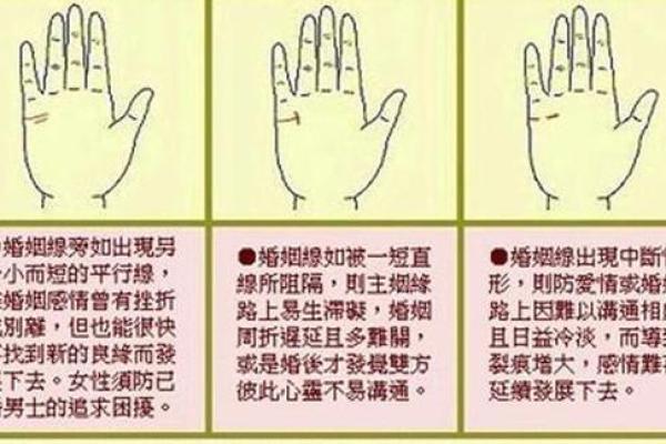 女人手相算命图解女人婚姻 婚姻线看感情生活 女人手相算命图解女人婚姻 婚姻线看感情生活