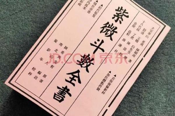 紫薇斗数南北山人 紫薇斗数南北山人