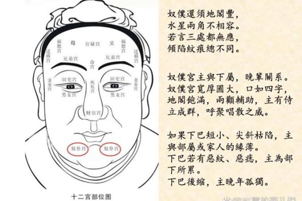 面相风水_更好看的风水小说 面相风水_更好看的风水小说